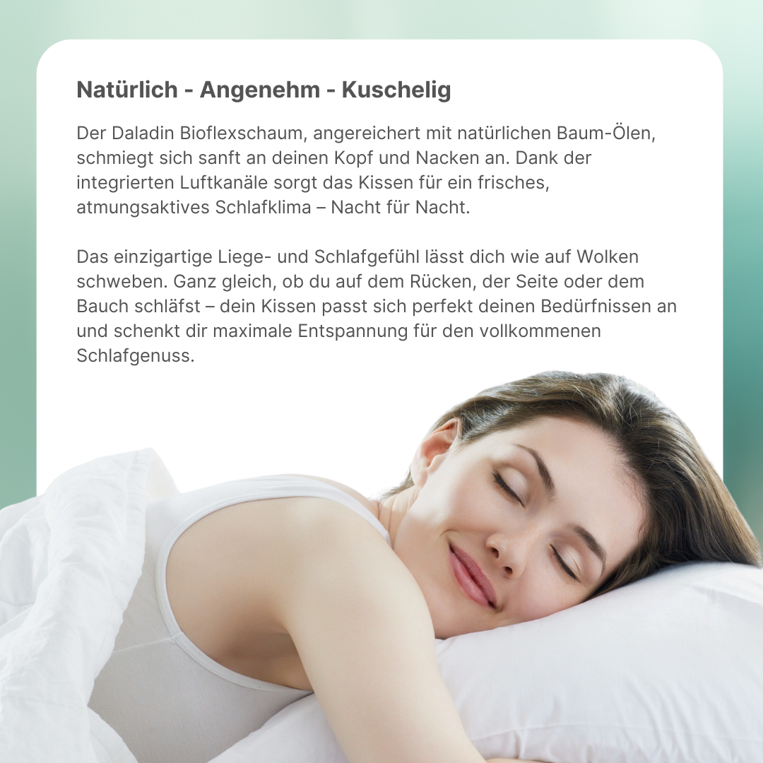 DaladinAeromedSchlafkissen
